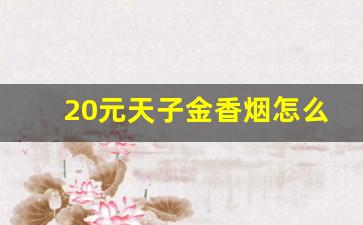 20元天子金香烟怎么样-香烟天子价格一览表