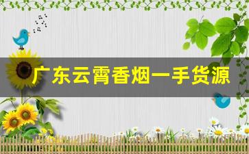 广东云霄香烟一手货源批发代理