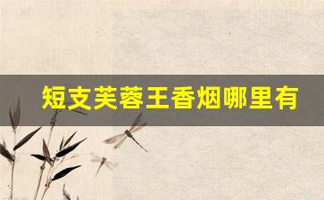 短支芙蓉王香烟哪里有卖-芙蓉王五包一条的多少钱