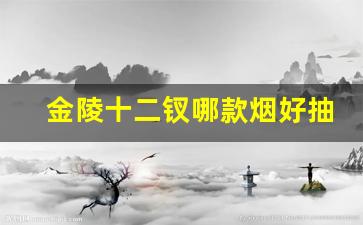 金陵十二钗哪款烟好抽-金陵十二钗烟多少钱一包好抽吗