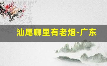 汕尾哪里有老烟-广东汕尾有卖兰州烟吗
