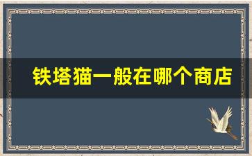 铁塔猫一般在哪个商店可以买-铁塔猫国内临沂哪里可以买