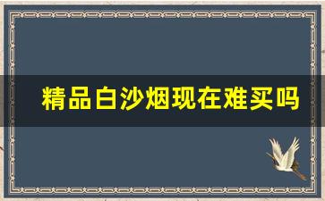 精品白沙烟现在难买吗-白沙烟硬精品三代很难买吗