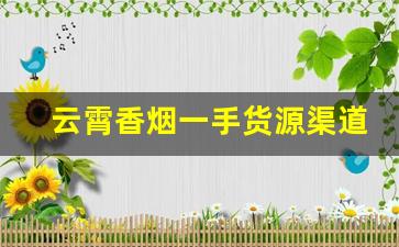 云霄香烟一手货源渠道