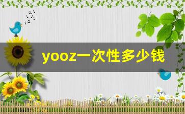 yooz一次性多少钱一支-shoyo多少钱一瓶