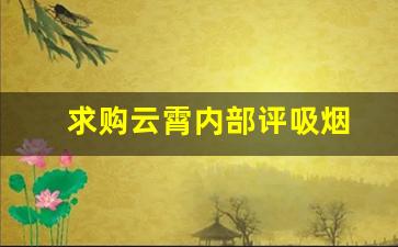求购云霄内部评吸烟