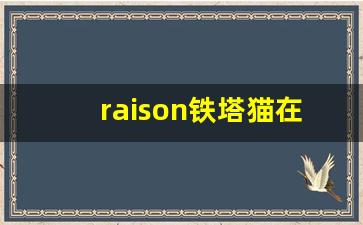 raison铁塔猫在哪里买-raison铁塔猫在哪代购